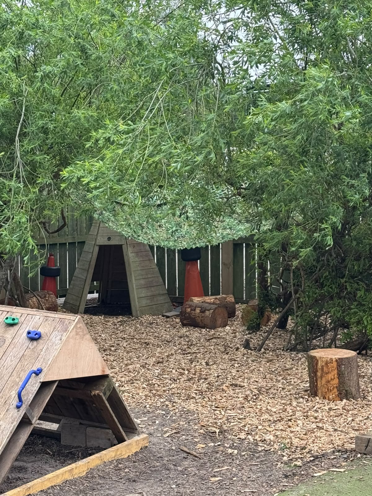 Willow den and natural play area in the garden